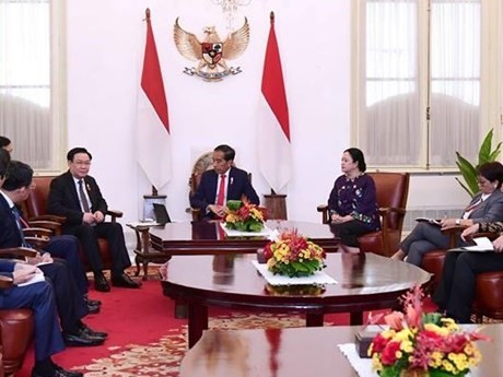 El presidente de la Asamblea Nacional, Vuong Dinh Hue, en el encuentro con el presidente de Indonesia, Joko Widodo. (Foto: VNA)