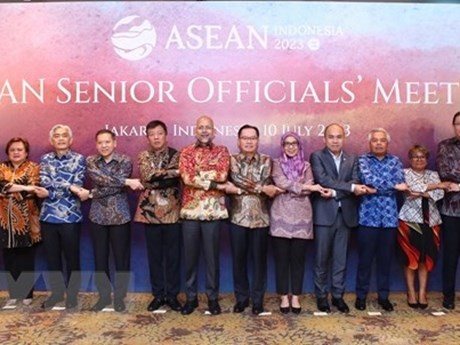 Delegados participan en la reunión de Altos Funcionarios de la Asociación de Naciones del Sudeste Asiático (SOM ASEAN). (Foto: VNA)