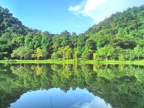El Parque Nacional Cuc Phuong. (Fuente:sodulich.ninhbinh.gov.vn)