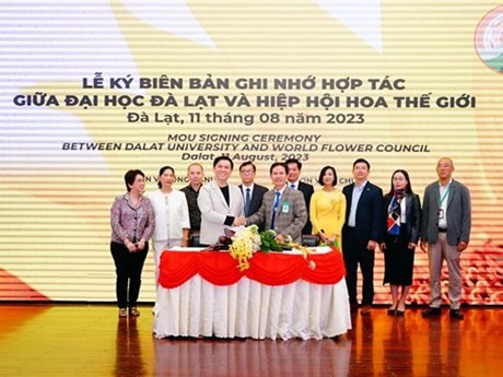 La 37ª Cumbre del Consejo Mundial de las Flores tendrá lugar del 8 al 12 de septiembre en la ciudad vietnamita de Da Lat. (Foto: baolamdong.vn)