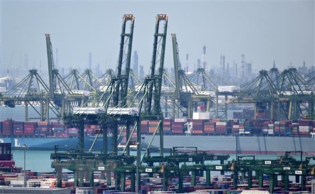 Transporte de carga en el puerto de Pasir Panjang en Singapur. (Foto: AFP/VNA)