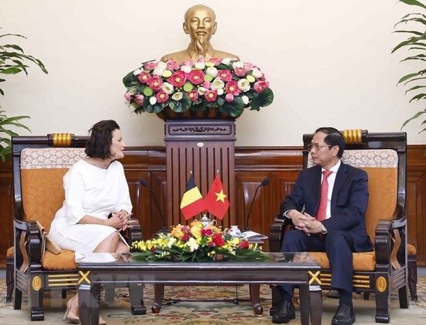 El ministro de Relaciones Exteriores de Vietnam, Bui Thanh Son, recibe a la presidenta del Senado de Bélgica, Stephanie D’Hose. (Foto: VNA)