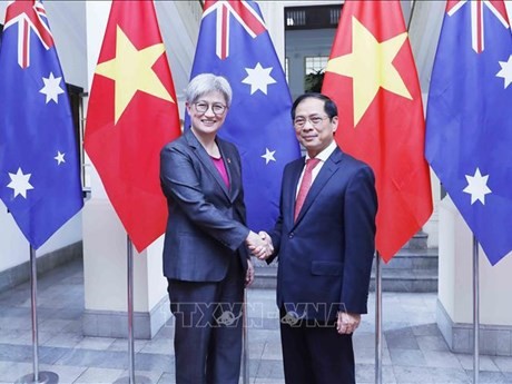 El ministro de Relaciones Exteriores de Vietnam, Bui Thanh Son, recibe a su homóloga australiana, Penny Wong. (Foto: VNA)