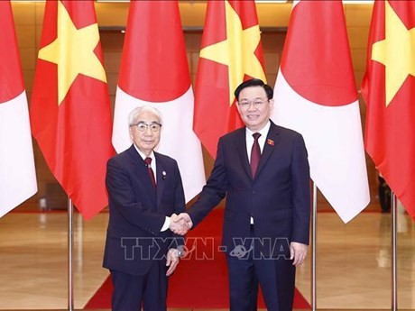 El presidente de la Asamblea Nacional de Vietnam, Vuong Dinh Hue, y el presidente de la Cámara de Consejeros de Japón, Otsuji Hidehisa, (Fuente: VNA)