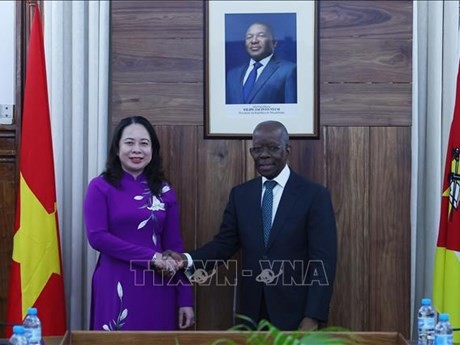 La vicepresidenta vietnamita Vo Thi Anh Xuan se reúne con el primer ministro de Mozambique, Adriano Maleiane. (Foto: VNA)