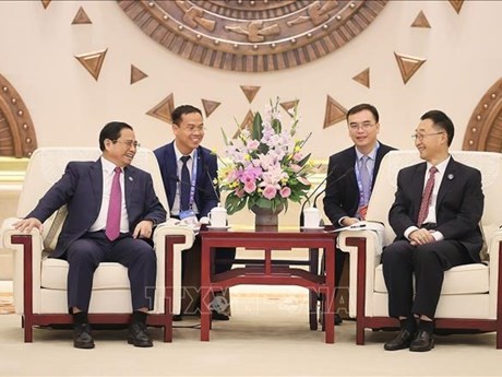 El primer ministro de Vietnam, Pham Minh Chinh, se reúne con Liu Ning, miembro del Comité Central del Partido Comunista de China y secretario de su Comité partidista en la Región Autónoma Zhuang de Guangxi. (Fuente: VNA)