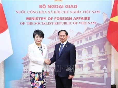 El ministro de Relaciones Exteriores de Vietnam, Bui Thanh Son, y su homóloga japonesa Kamikawa Yoko. (Foto: VNA)