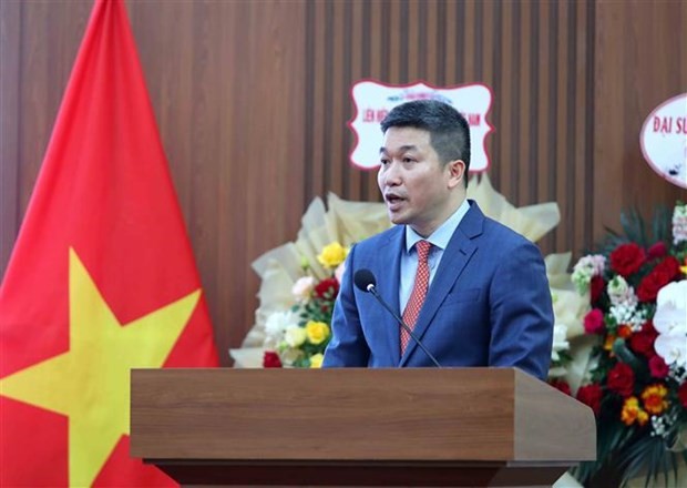 Phan Anh Son, presidente de la VUFO. (Foto: VNA) 