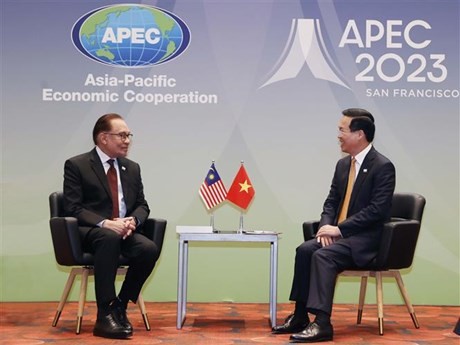 El presidente de Vietnam, Vo Van Thuong, se reúne con el primer ministro de Malasia, Anwar Ibrahim, en San Francisco, Estados Unidos. (Fuente: VNA)