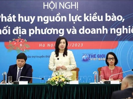 Le Thi Thu Hang, vicecanciller de Vietnam, habla en la conferencia de prensa. (Foto: VNA)