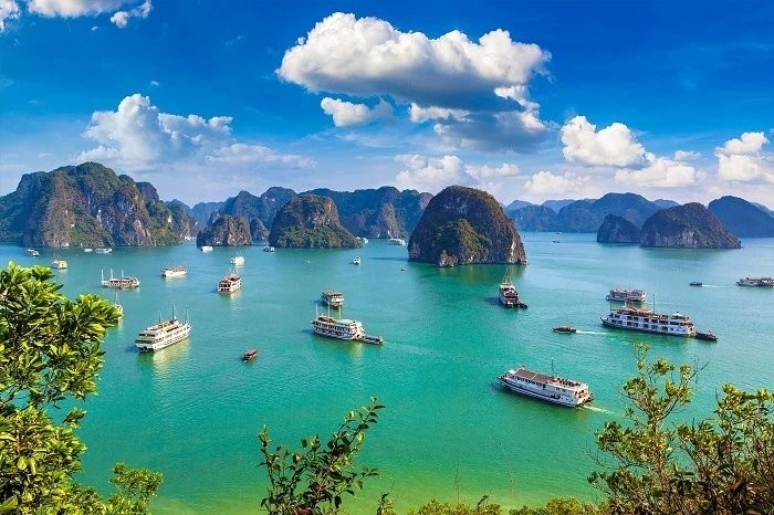 Bahía de Ha Long fue elegida como destino de tendencia mundial por Tripadvisor. (Foto: canva.com)