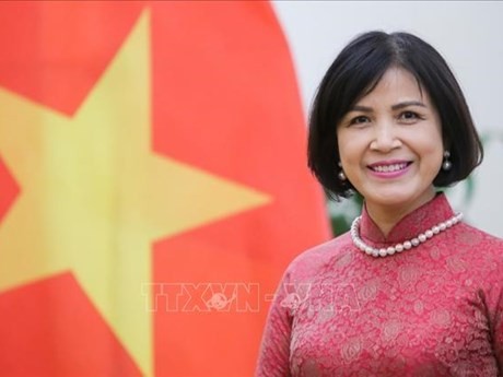 La embajadora Le Thi Tuyet Mai, representante permanente de Vietnam ante la ONU, la Organización Mundial del Comercio y otras instituciones internacionales en Ginebra. (Foto: VNA)