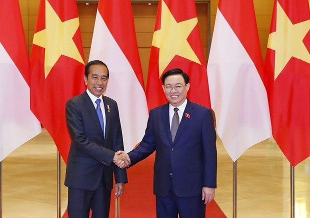 El titular de la Asamblea Nacional de Vietnam, Vuong Dinh Hue, (derecha) y el presidente de Indonesia, Joko Widodo. (Foto: VNA)
