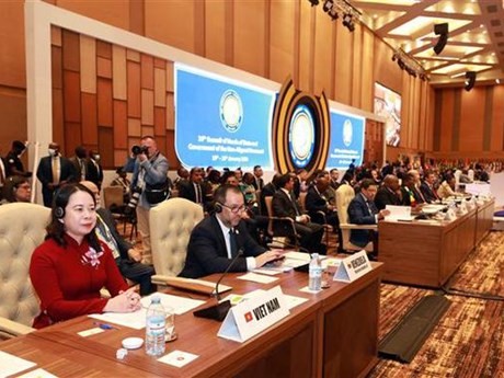 La vicepresidenta de Vietnam Vo Thi Anh Xuan participa en la XIX Cumbre del Movimiento de Países No Alineados en Uganda. (Foto: VNA)