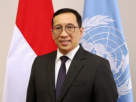Embajador indonesio ante ONU, Febrian A. Ruddyard. (Foto: VNA)