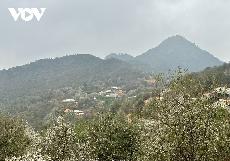 La aldea de Nam Nghep, capital de las flores de Crataegus, está a unos dos mil metros sobre el nivel del mar.