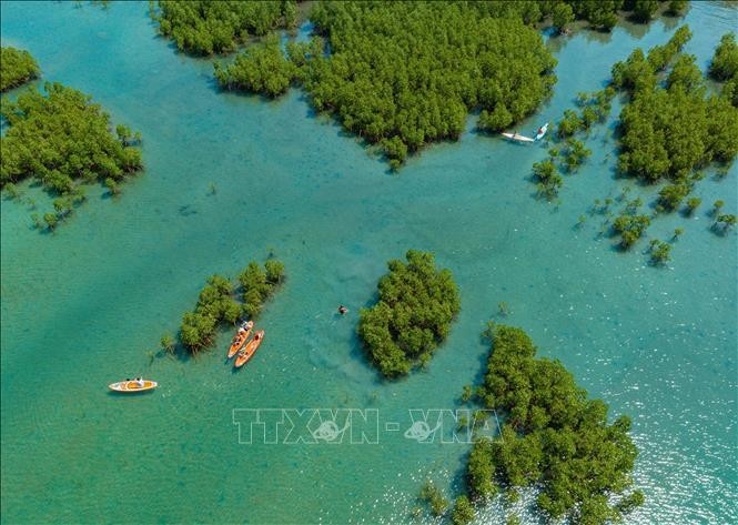 Bosque de manglares de Dam Bay, en la Bahía de Nha Trang, provincia de Khanh Hoa, visto desde arriba. (Foto: VNA)