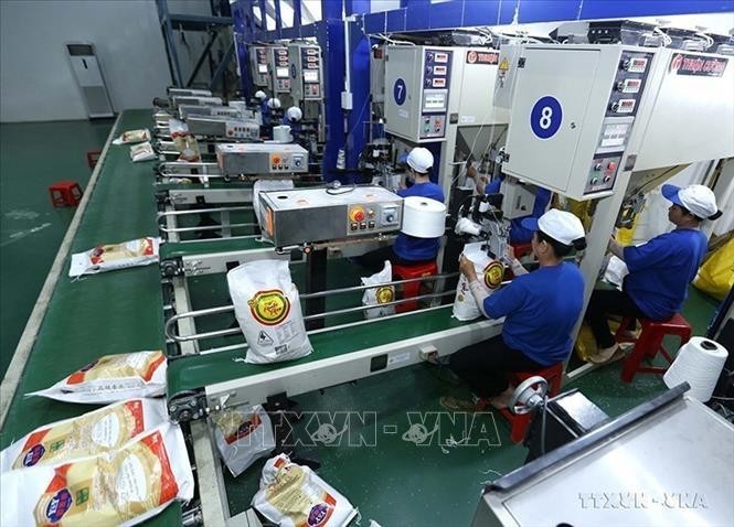Línea de envasado de arroz para exportación en la fábrica de la compañía agrícola de alta tecnología Trung An (ciudad de Can Tho). Foto de ilustración. (Foto: VNA)