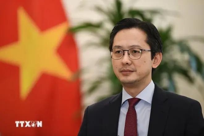 El viceministro de Relaciones Exteriores Do Hung Viet. (Foto: VNA)