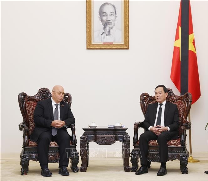 El viceprimer ministro de Vietnam Tran Luu Quang sostiene un encuentro con el ministro argelino de Muyahidines (Veteranos de Guerra) y Titulares de Derechos, Laid Rebiga. (Foto: VNA)