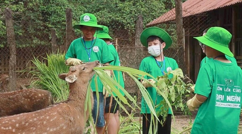 Los jóvenes participan en el campamento de verano Cuc Phuong 2024 en el Parque Nacional Cuc Phuong. (Foto: VNA)