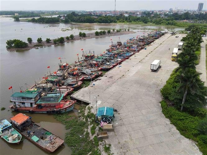 Buques anclados de forma proactiva para evitar tormentas en el puerto pesquero de Tan Son (ciudad de Diem Dien, distrito de Thai Thuy, provincia de Thai Binh). (Foto: VNA)