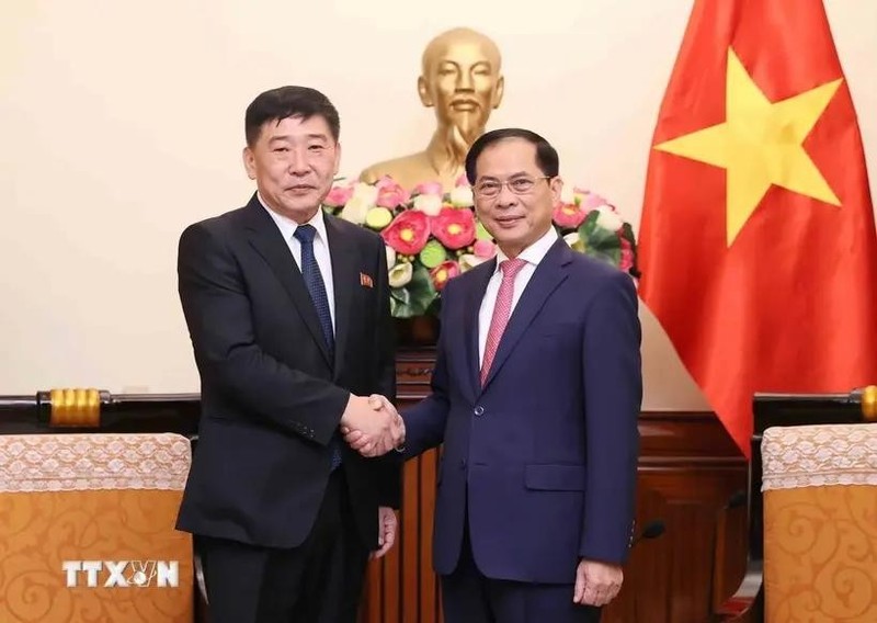 El canciller vietnamita Bui Thanh Son (derecha) recibe al viceministro de Asuntos Exteriores de la República Popular Democrática de Corea (RPDC), Pak Sang Gil. (Foto: VNA)