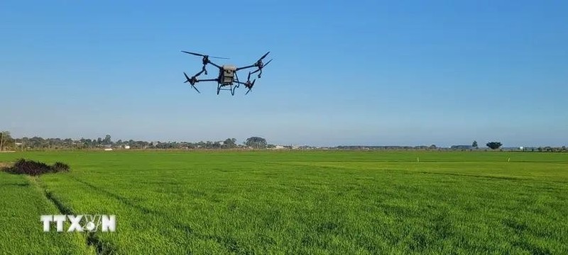 La transformación digital se ha convertido en una estrategia clave, que abre oportunidades para construir un modelo agrícola más inteligente, sostenible y eficiente, asegurando la posición de la agricultura vietnamita en el mapa mundial. (Foto: VNA)