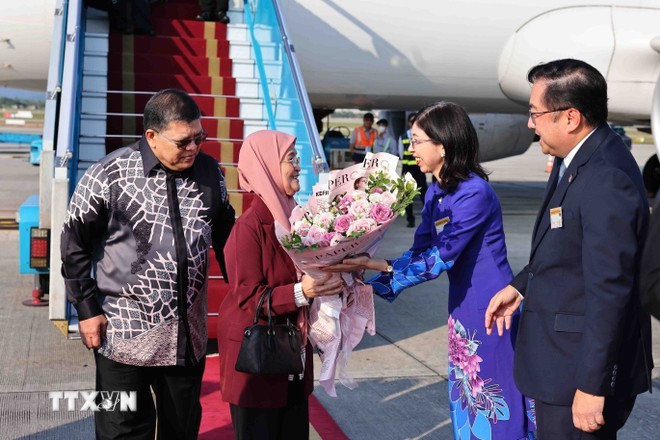 Acto de bienvenida al presidente de la Cámara de Representantes de Malasia, Tan Sri Dato Johari Bin Abdul, y a su esposa, en el aeropuerto internacional de Noi Bai. (Foto: VNA)