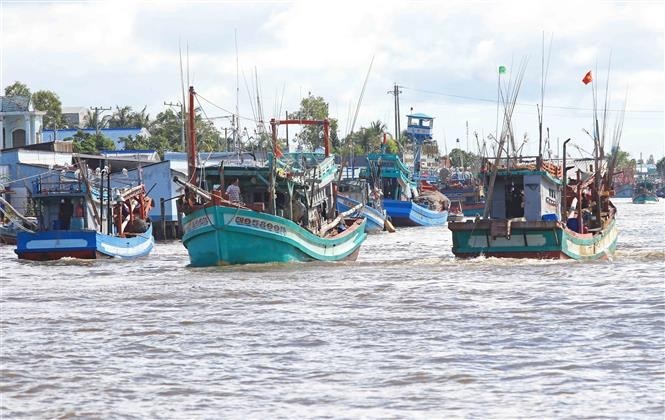 La provincia de Ca Mau ha implementado el uso de software de gestión integrada para controlar los buques pesqueros. (Foto: VNA)