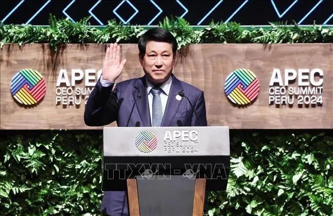 El presidente vietnamita, Luong Cuong, interviene en la Cumbre de CEO de APEC 2024. (Foto: VNA)