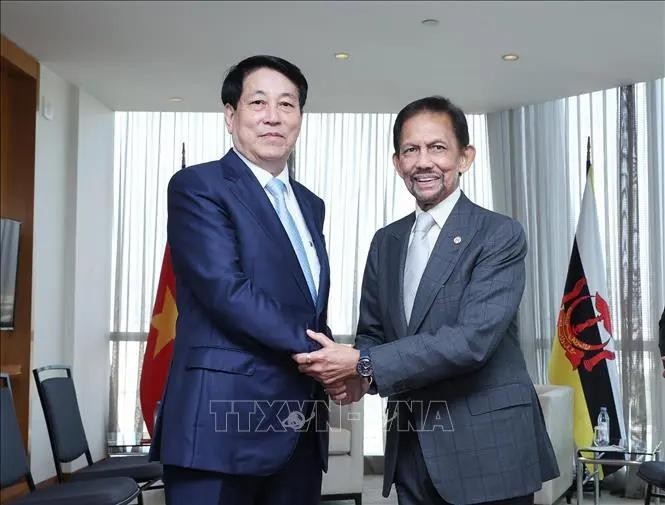 El presidente vietnamita, Luong Cuong, se reúne con el sultán de Brunei Darussalam, Hassanal Bolkiah. (Foto: VNA)