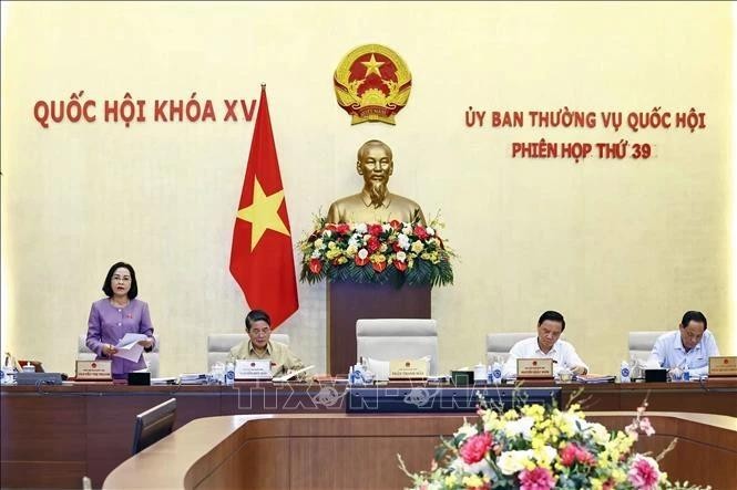 La vicepresidenta de la AN, Nguyen Thi Thanh, preside la reunión. (Foto: VNA)