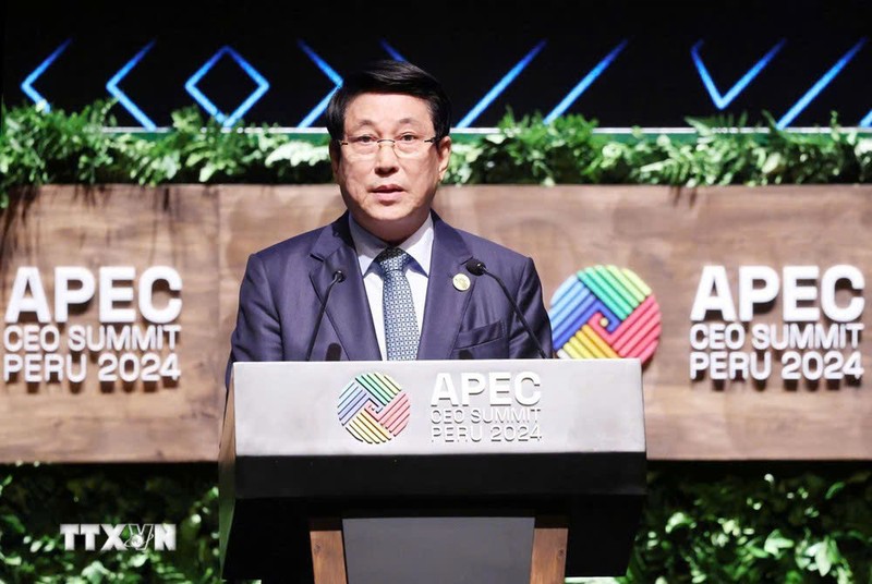 El presidente vietnamita, Luong Cuong, habla en la Cumbre de CEO de APEC. (Foto: VNA)