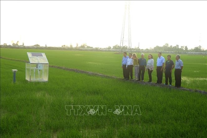 La delegación del BM realizó una visita de trabajo a Can Tho, en el Delta del Mekong, sobre la producción de arroz de bajas emisiones. (Foto: VNA)