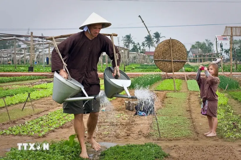 Turistas extranjeros experimentan las actividades diarias en la aldea turística de Tra Que en la provincia de Quang Nam. (Foto: VNA)