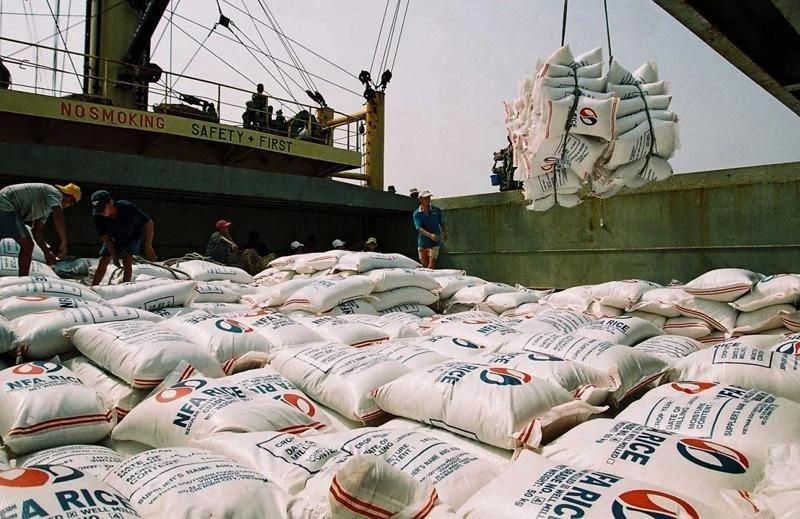 Arroz vietnamita para la exportación. (Foto: VNA)