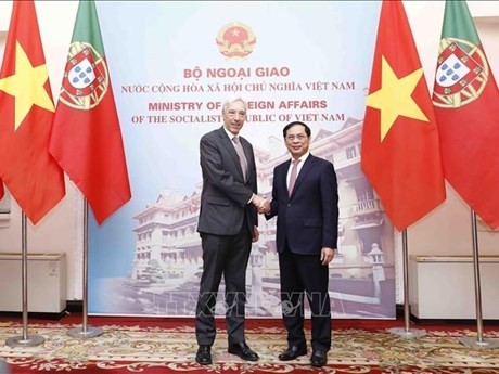 El ministro de Relaciones Exteriores de Vietnam, Bui Thanh Son, y su homólogo de Portugal, Joao Gomes Cravinho (Fotografía: VNA)