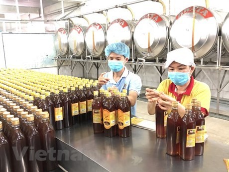 Miel de Vietnam es uno de los productos preferidos por los consumidores estadounidenses (Fotografía: VNA)