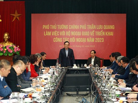 El viceprimer ministro Tran Luu Quang trabaja con el Ministerio de Relaciones Exteriores. (Fotografía: VGP)