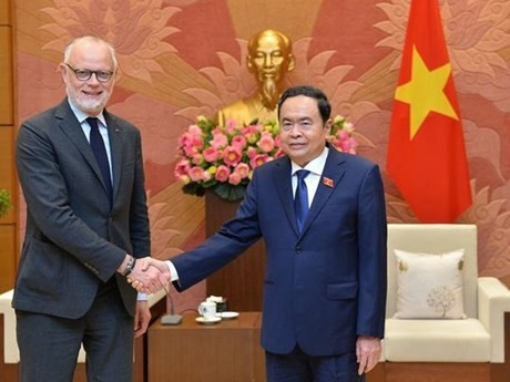 El vicepresidente permanente de la Asamblea Nacional de Vietnam, Tran Thanh Man, recibe al exprimer ministro francés y alcalde de la ciudad gala de Le Havre, Édouard Philippe (Fuente:VNA)