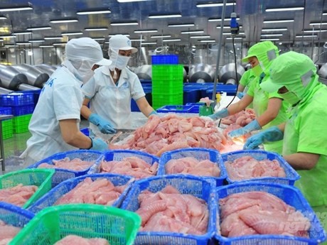 China compra gran cantidad de pescado Tra de Vietnam