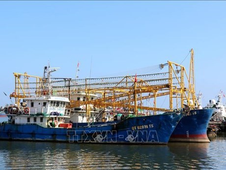 Provincia vietnamita refuerza medidas contra pesca ilegal