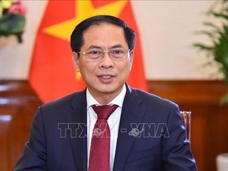 El ministro de Relaciones Exteriores de Vietnam, Bui Thanh Son, (Foto: VNA)