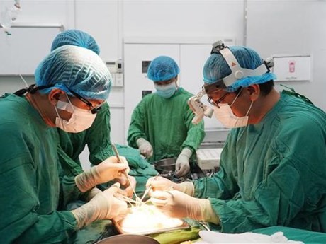 El equipo médico realizó un trasplante de riñón en el Hospital Cho Ray. (Foto: VNA)