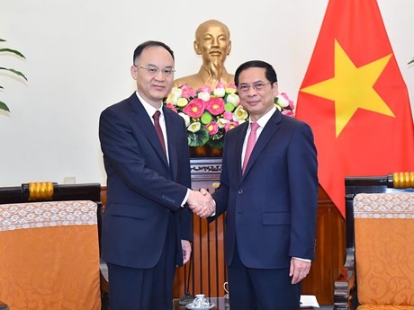 El canciller de Vietnam, Bui Thanh Son, recibió en Hanoi al ministro asistente de Relaciones Exteriores de China Nong Rong (Fuente: La Cancillería de Vietnam)