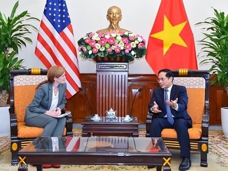 El canciller vietnamita, Bui Thanh Son, recibió en Hanói a la directora general de USAID, Samantha Power (Foto: VNA)