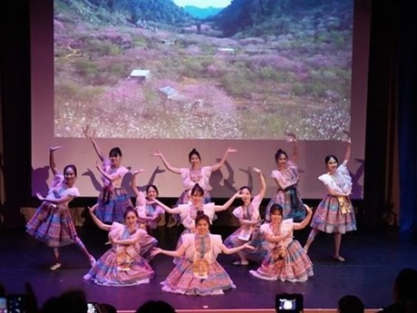 Un espectáculo de danza folclórica en el evento (Foto: VNA)