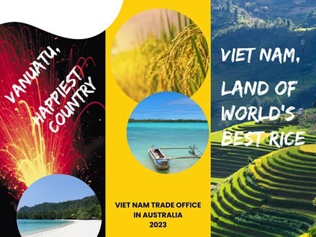 Vietnam exporta arroz ST25 a Vanuatu