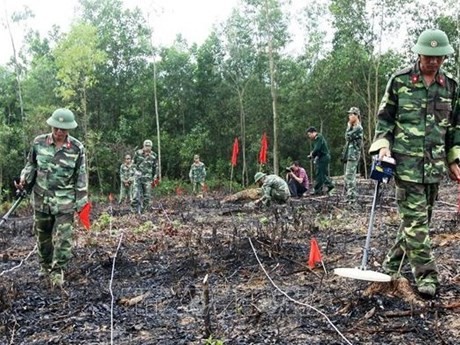 Soldados vietnamitas en trabajo de limpieza de bombas y minas (Foto: VNA)